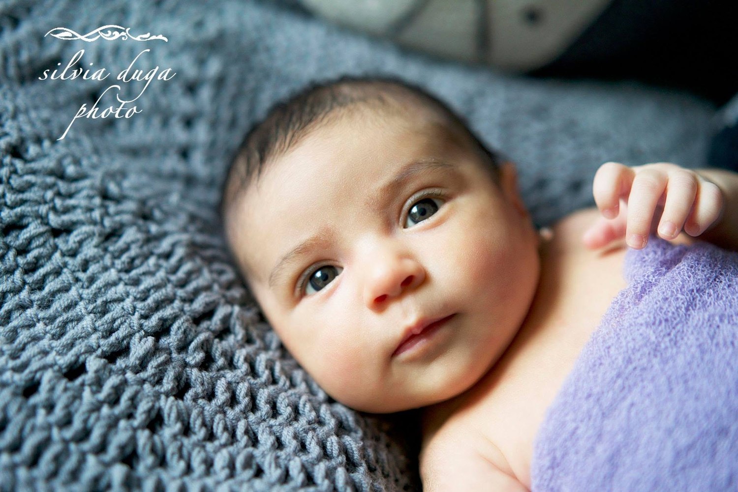 Newborn lying on a grey knit blanket with a purple wrap