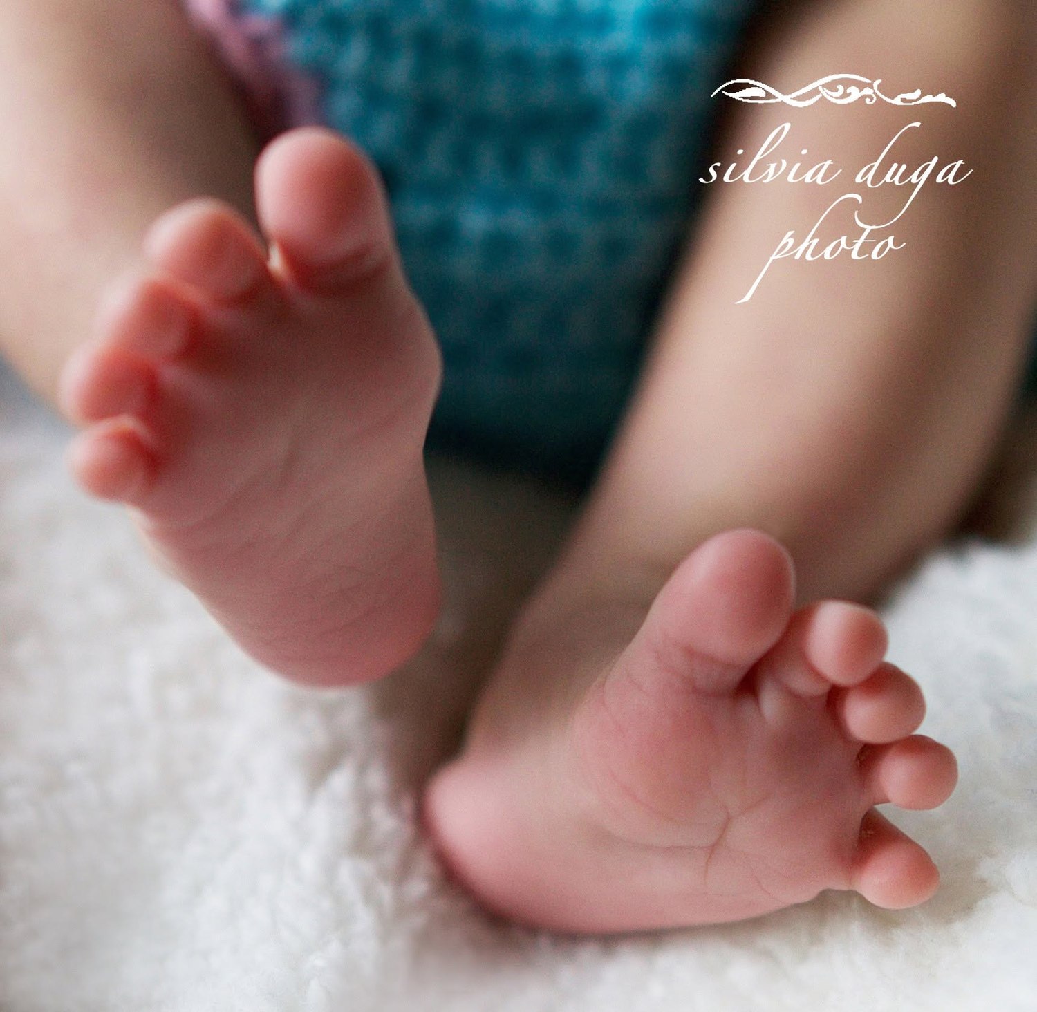 Close-up of a baby's feet on a white blanket